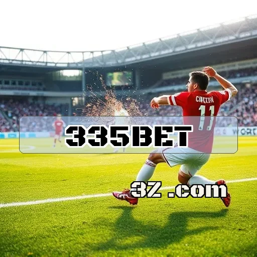 335bet Bingo